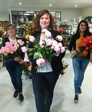 Art et Création Pervenche image 5