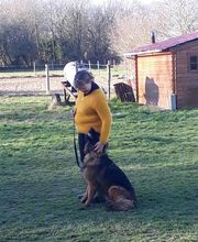 Agil'Canin 36 image 20