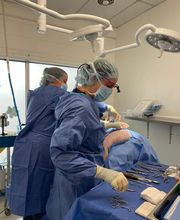 Willowbrook Veterinary Clinic image 6