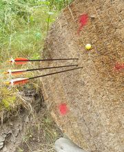 Bogensport vor Ort Bild 11