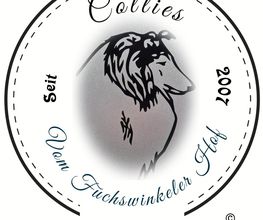 Collies vom Fuchwinkeler Hof Bild 1