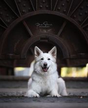 Denise Strauch Photography