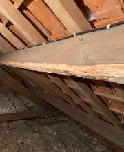 Pro Bat image 6