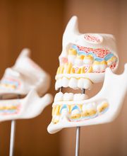 Zahnarztpraxis Frau Edeltraut Block Bild 2