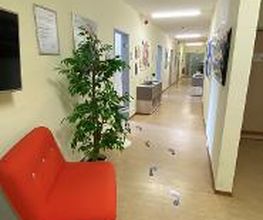 Eine Couch und eine Pflanze in einem langen Gang.