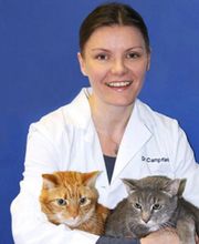 Caring Hands Animal Hospital - Clarendon image 1