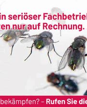 ATOX Schädlingsbekämpfungsfachbetrieb Bild 5