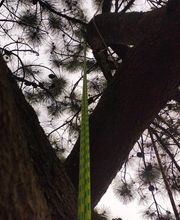 Beaudout Raphael image 19