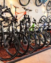 Bike Performance Dresden Bild 7