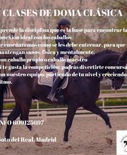 Escuela de Doma Clásica EV imagen 17