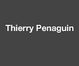 Penaguin Thierry image 1