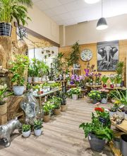 Au Parfum des Fleurs image 2