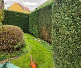 Pro Garten Bild 2