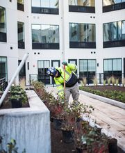 Landscape Solutions image 11