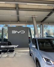 BYD | Senger Bild 2