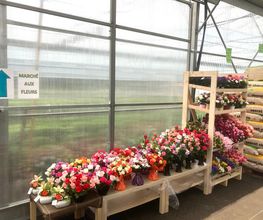Dessapt Horticulture image 2