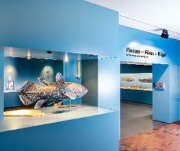 Naturhistorisches Museum Bern Bild 19