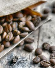 Caligo Kaffeerösterei Bild 3