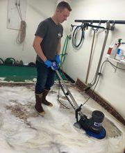 TCM Restoration image 5