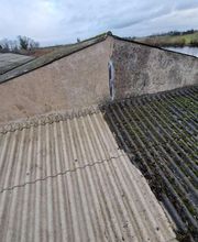 Reinard Jimmy image 9