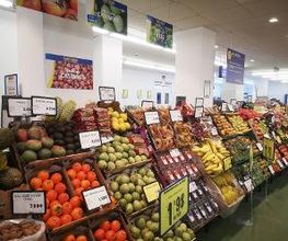 CASH FRESH imagen 20