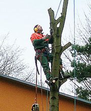 Baumdienst André Funke e.K. Bild 1