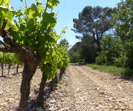 Les Collines du Bourdic SARL image 12