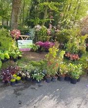 Au Coeur Des Plantes image 3