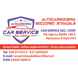 Car Service Saladino logo