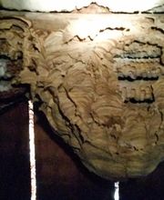 Montélimar 4D image 6