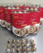 Elevage Caille 43 image 5