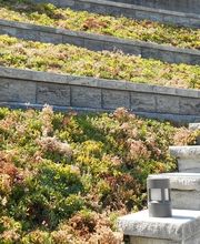 Art & Giardini Sagl Bild 10