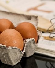 Marion Thierl Bild 8