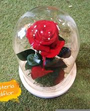 Floristeria Mundiflor imagen 19