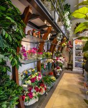 Gallery Professionale