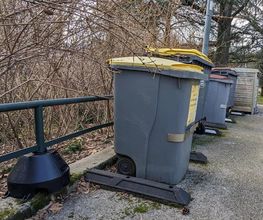 Poitou 3D image 7
