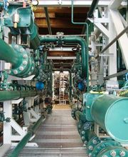 Gallery Professionale