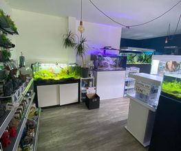 Aquadecor image 1