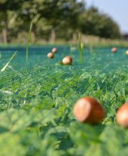 Biohof Schär Matthias & Corinne Bild 1