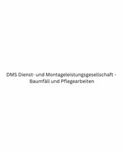 DMS Dienst- und Montageleistungsgesellschaft - Baumfäll und Pflegearbeiten Bild 1