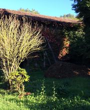 Thuilier Patrick image 6