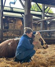 Luana EMINIC HUGO - L'ostéo animaux Bild 1