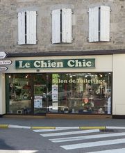 Chien Chic image 1