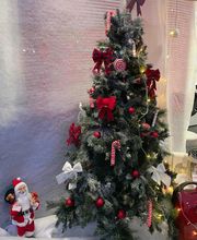 Extra LBF Distrib image 1