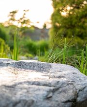 Gerber Gärten AG / Gerber Blumen Bild 4