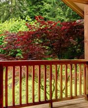 CertaPro Painters of Southern Maryland image 16