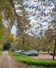 FriedWald Rümmingen Bild 2