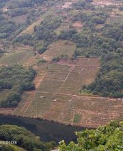 Virxen Dos Remedios imagen 2