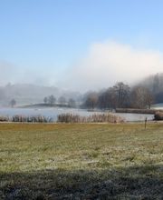 Mistel-Apotheke Bild 8