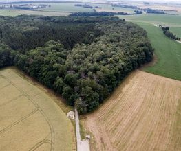 Blick von oben auf den FriedWald Waldenburg und die Zufahrt.